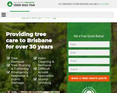 Brisbane Tree Experts