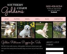 Southern Charm Goldens
