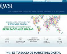 Wsi Expertos Web