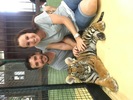Tiger Kingdom Thailand